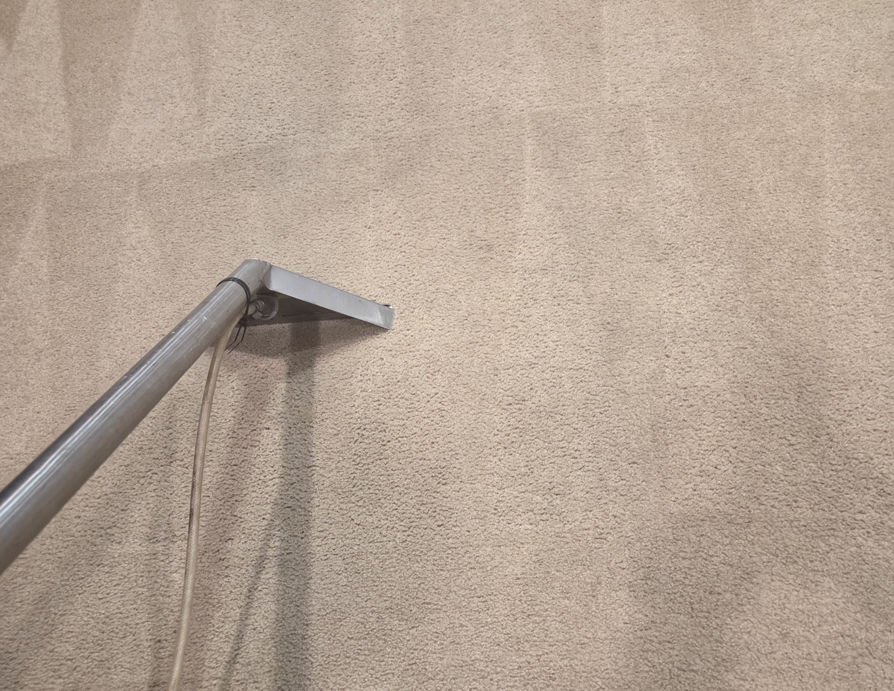 Carpet steam cleaning